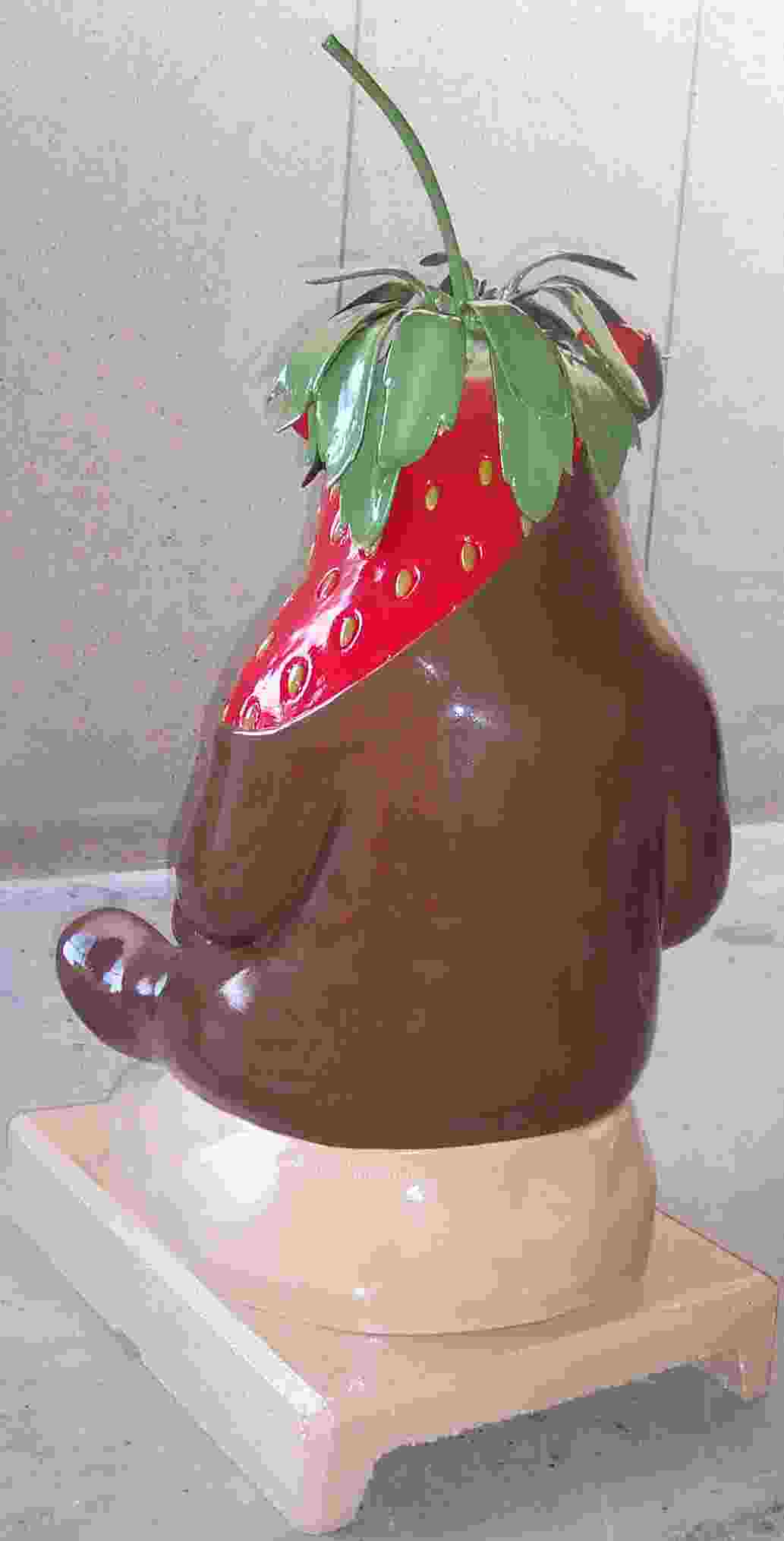 Chocolate Dipped StrawBeary - Rear View