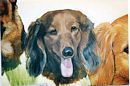 Dog Portrait - Middle Dog Detail - Thumbnail Image