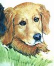 Dog Portrait - Right Dog Detail - Thumbnail Image