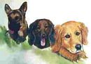 Three Dog Portail Wall Mural - Thumbnail Image